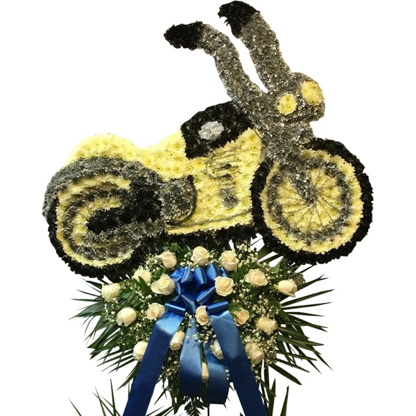 Harley Motorcycle