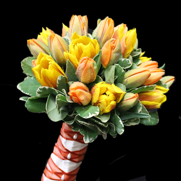 Tulip Delight