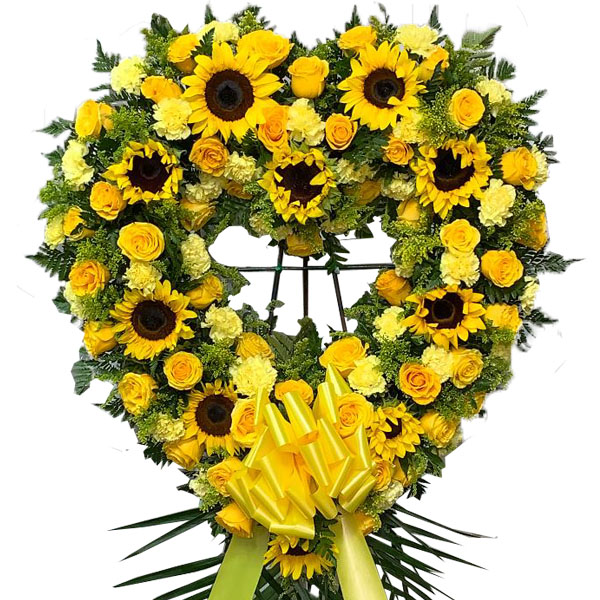 Sunshine Heart