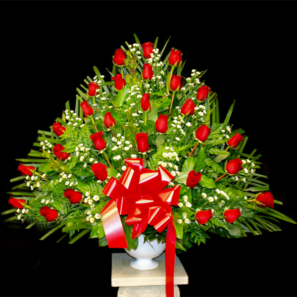 Extreme Red Roses