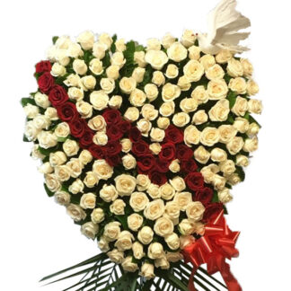 Divided Heart