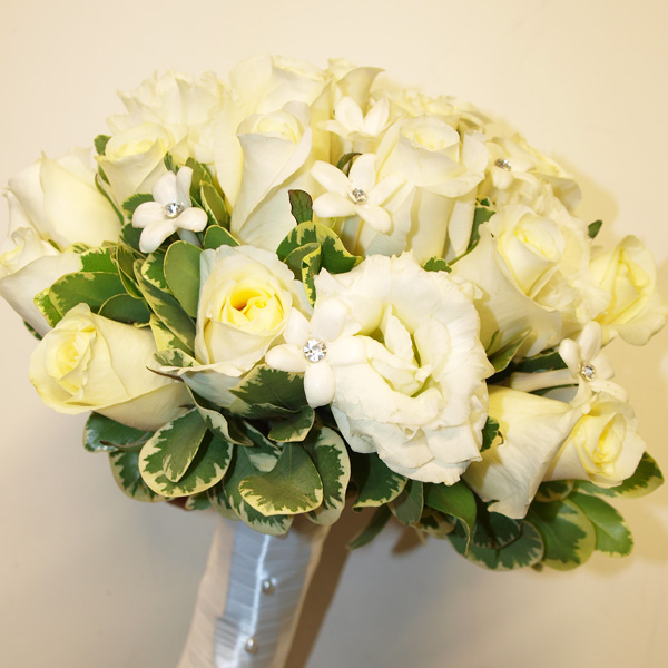 Shades of White